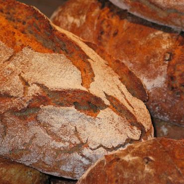Unser tägliches Brot