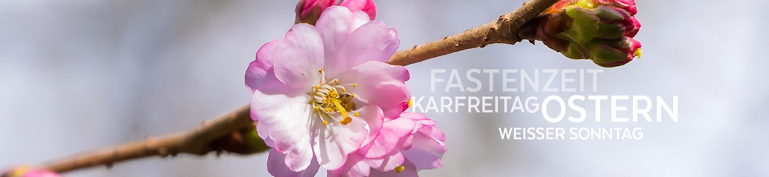 pfarrei st johann osnabrueck kalender frühjahr + typo