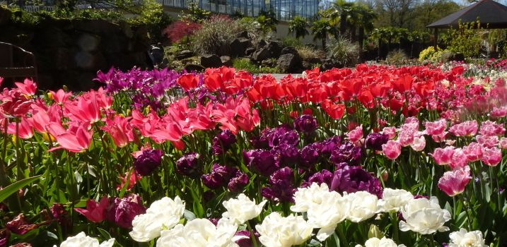 Fahrt zu NaturaGart am Donnerstag, den 23.04.2026