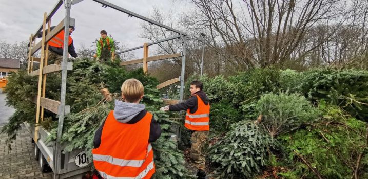 Tannenbaumaktion 2026