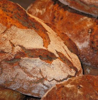 „Unser tägliches Brot …“– kennen Sie noch die Backhaus- Tradition von früher?