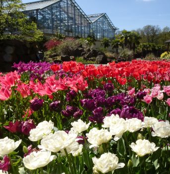 Fahrt zu NaturaGart am Donnerstag, den 23.04.2026
